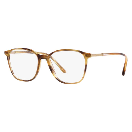 GIORGIO ARMANI AR7236 6002